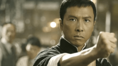 Donnie Yen Net Worth