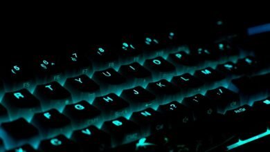 gaming solutions by plugboxlinux