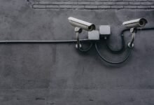 caller identity fraud monitoring