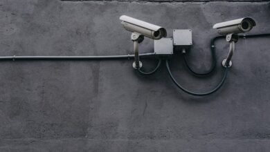 caller identity fraud monitoring