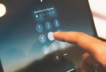 phone fraud detection system