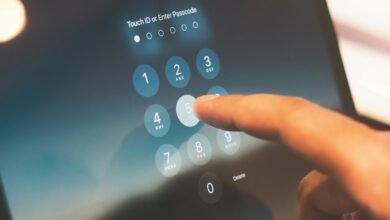 phone fraud detection system