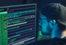 scam alert network numbers